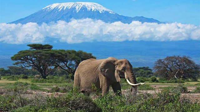 Lokasi Wisata untuk Pecinta Traveling di Tanzania